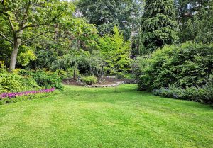 Optimiser l'expérience du jardin à Breuil-Magne